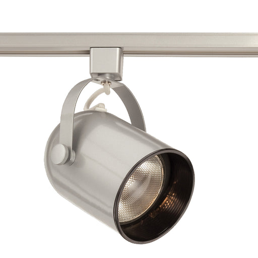 Trackhead, Par30, 75w, Platinum | 23402-034