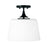 1 Light Dual Mount Semi-flush/ Pendant | 248911MB