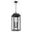 3 Light Exterior Pendant Light / Luminaire Suspendu Exterieur 3 Light | 207748A