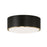 3 Light Flush | 254831RK