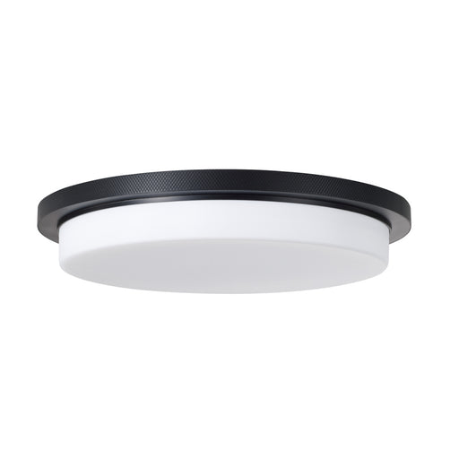 1 Light Flush | 261311MB