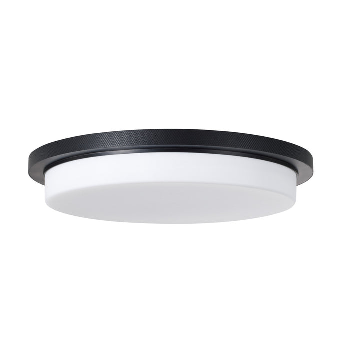 1 Light Flush | 261311MB