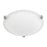 2 Light Flush Mount | 2822FF-SW
