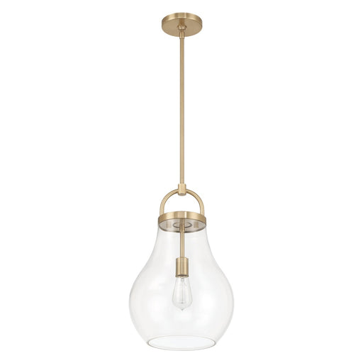 1 Light Pendant Light / Luminaire Suspendu 1 Light | 207647A