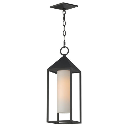 Aldous-outdoor Pendant | 30079SWBK