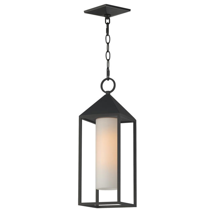 Aldous-outdoor Pendant | 30079SWBK