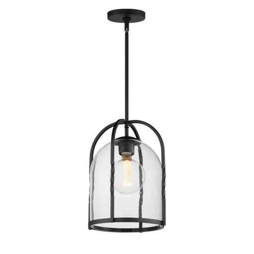 Foundry-outdoor Pendant | 30194CDBK