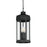 Wright-outdoor Pendant | 30229CLBKP