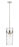 3 Light Pendant | 3035P9-PN