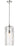 1 Light Pendant | 3036P8-PN