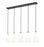 5 Light Linear Chandelier | 3043P6-5L-MB