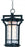 Oakville-outdoor Hanging Lantern | 30488WGBO