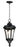 Maxim Sentry-Outdoor Hanging Lantern