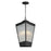 Triform-outdoor Pendant | 30766CRBKAB