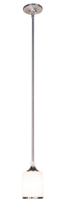 1 Light Pendant | 308MP-BN
