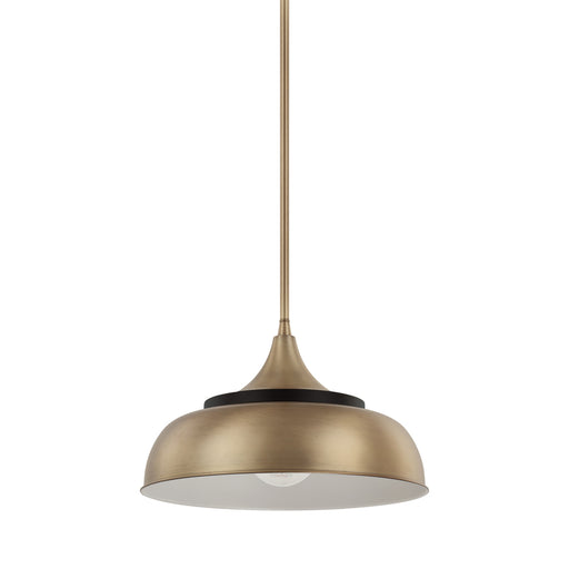 1 Light Pendant | 325713BX