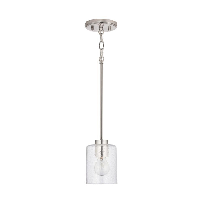 1 Light Pendant | 328511BN-449