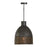 1 Light Pendant | 335112GI