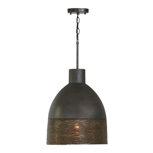 1 Light Pendant | 335112GI