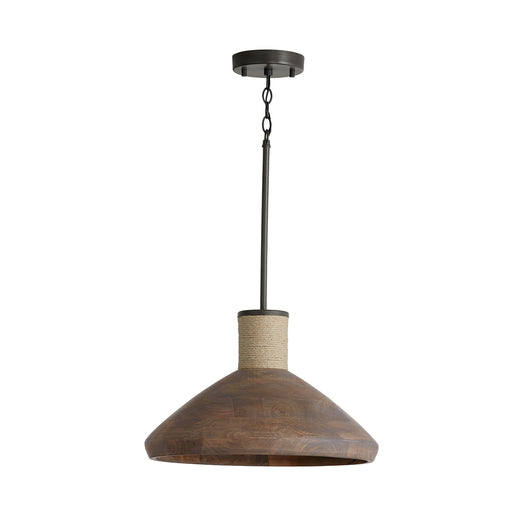 1 Light Pendant | 340313YG