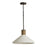 1 Light Pendant | 340613PW