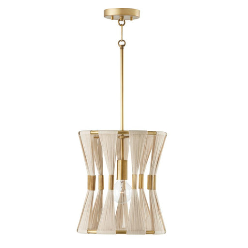 1 Light Pendant | 341111NP
