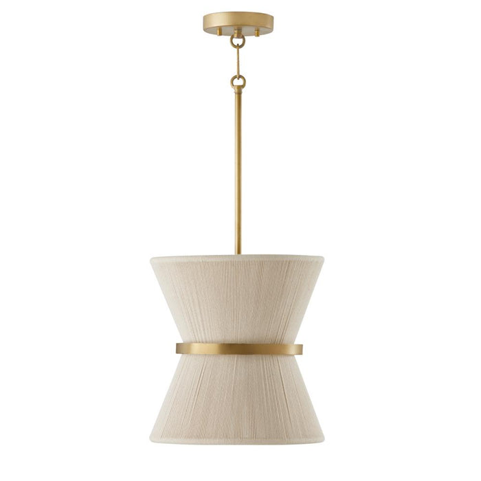 1 Light Pendant | 341211NP