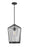 1 Light Pendant | 342P13-MB