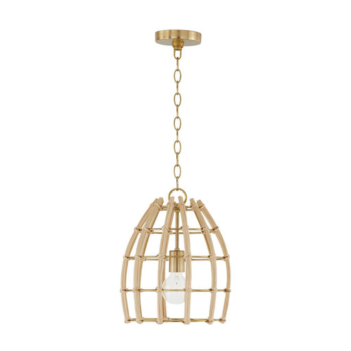 1 Light Pendant | 344111MA