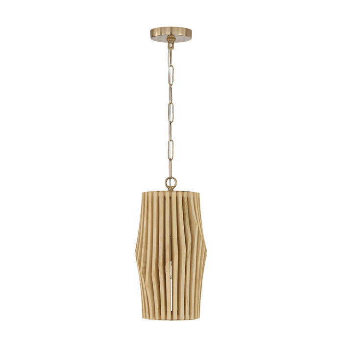 1 Light Pendant | 344613BWB