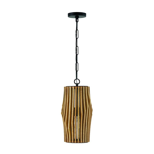 1 Light Pendant | 344613WK