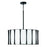 4 Light Pendant | 344641MB