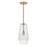 1 Light Pendant | 345011AD