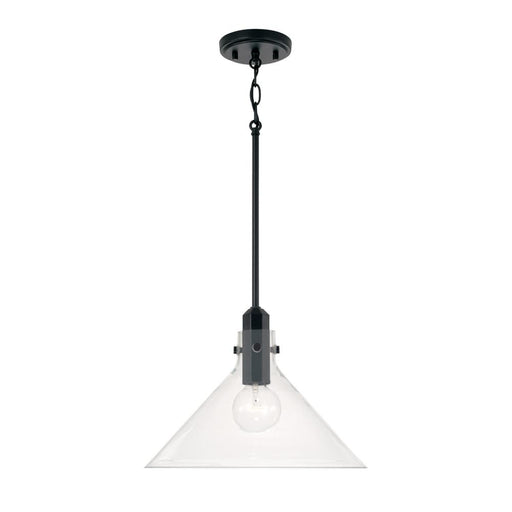 1 Light Pendant | 345811MB