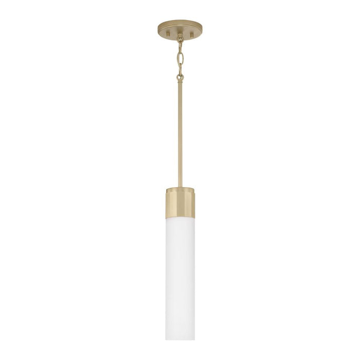 Capital 1 Light Pendant