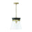 1 Light Pendant | 347311KR