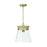 1 Light Pendant | 347311WS