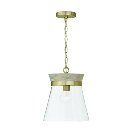 1 Light Pendant | 347311WS