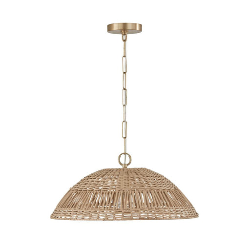 1 Light Pendant | 347511MA