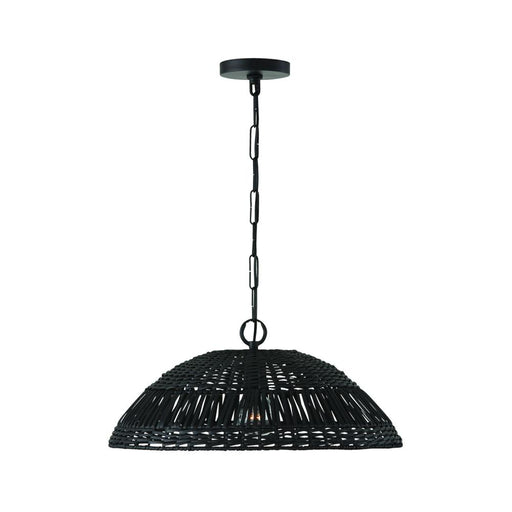 1 Light Pendant | 347511MB
