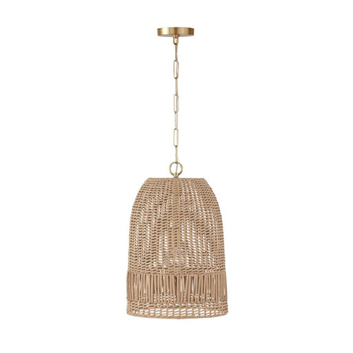 1 Light Pendant | 347512MA