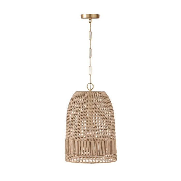 1 Light Pendant | 347512MA