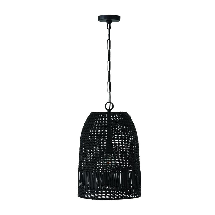 1 Light Pendant | 347512MB