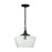 1 Light Pendant | 347611CK