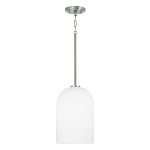 1 Light Pendant | 348811BN