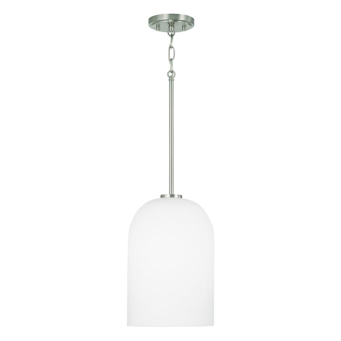 1 Light Pendant | 348811BN