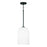 1 Light Pendant | 348811MB