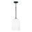 1-light Pendant | 348811MB