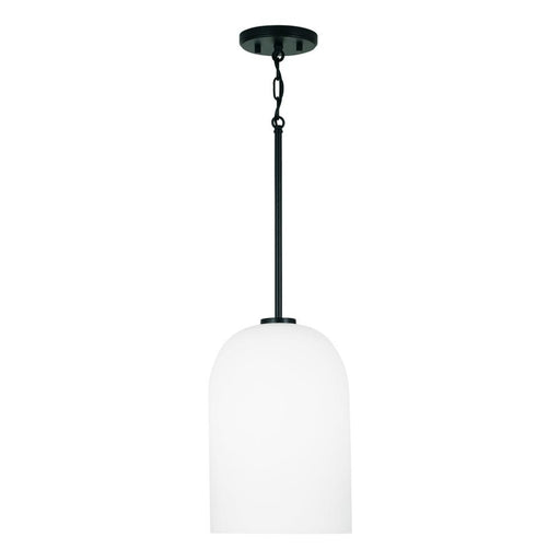 1-light Pendant | 348811MB