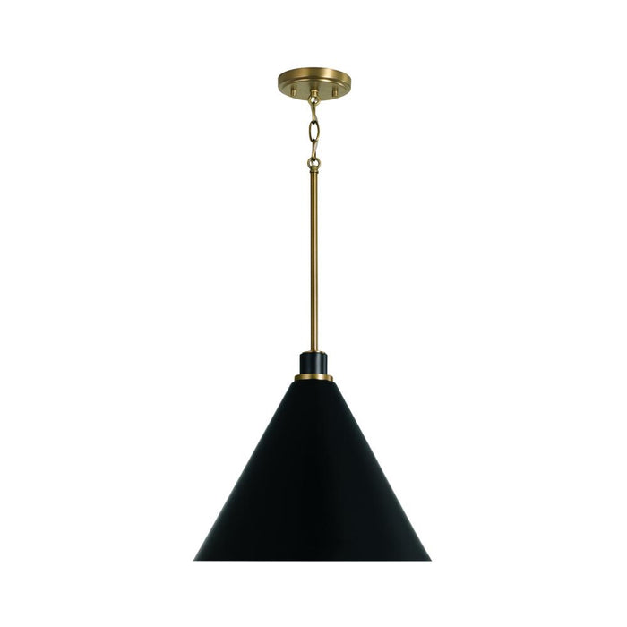 1 Light Pendant | 350112AB